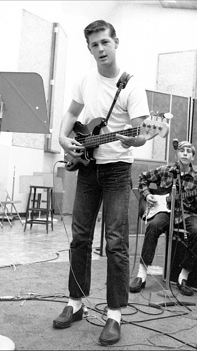 The Haunted Genius of Brian Wilson: Inside the Beach Boys’ Darkest Chapter